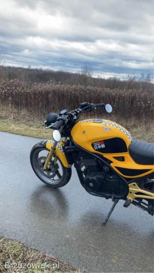 Kawasaki ER 500 2000