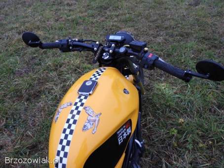 Kawasaki ER 500 2000