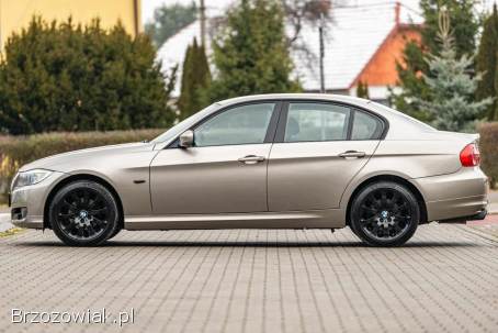 BMW Seria 3 2009