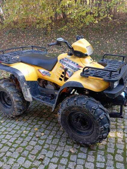 Quad polaris sportsman 500