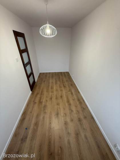 Szuka zleceń pracy na 2025 rok