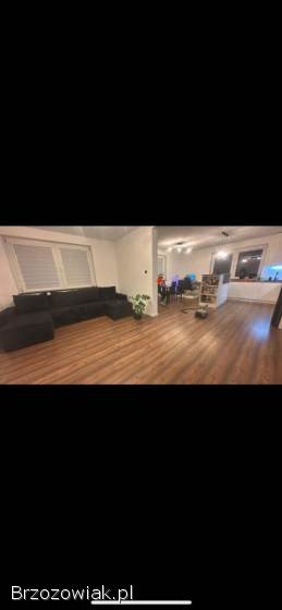 Szuka zleceń pracy na 2025 rok