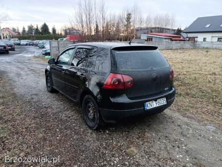 Volkswagen Golf 2.  0TDI 140km 05r 2005