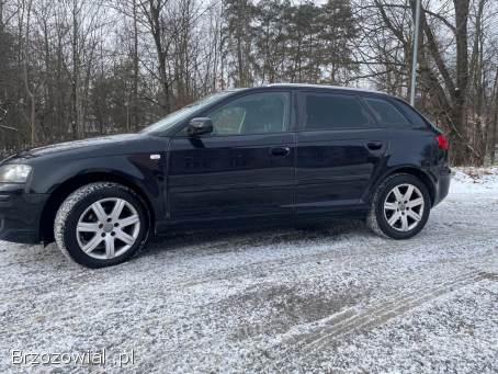 Audi A3 8P 2008