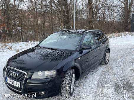 Audi A3 8P 2008