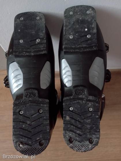 Buty narciarskie DALBELLO