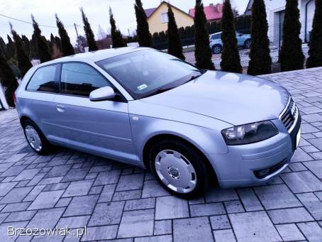 Audi A3 1.  9TDI 2003