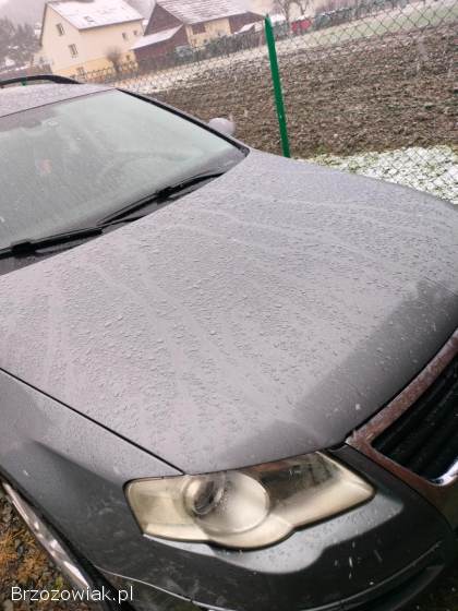 Volkswagen Passat B6 2007
