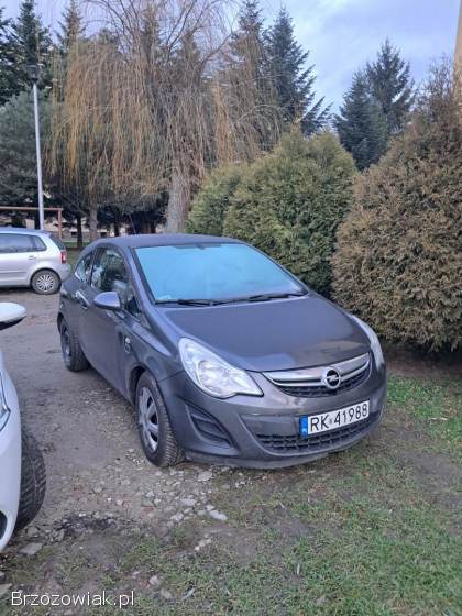 Opel Corsa Minivan 2011