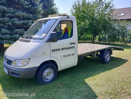 Mercedes-Benz Sprinter Laweta 2003