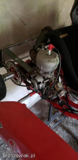 Italcorse gokart