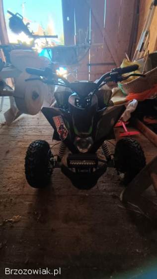 Liya m11 elektryczny mocny 1000w