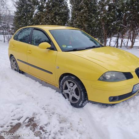 Seat Ibiza 2003