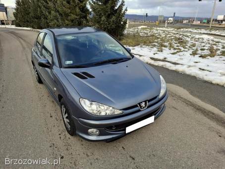 Peugeot 206 Lift Klima 5D 2006