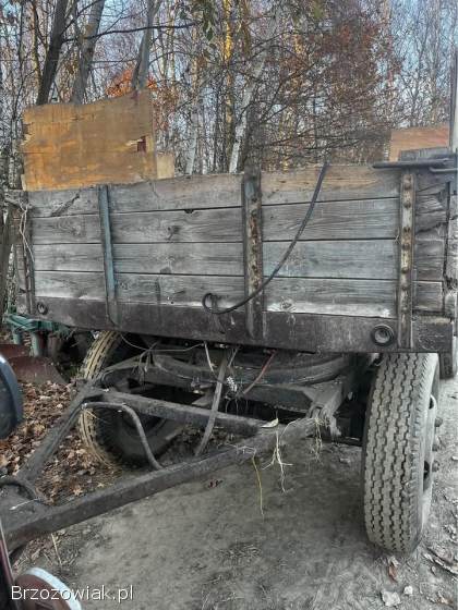 Przyczepa sztywna d44