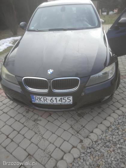 BMW Seria 3 318i 2009