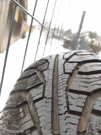 Opony zimowe Uniroyal the Rain Tyre 195/65 r15 MS plus 77