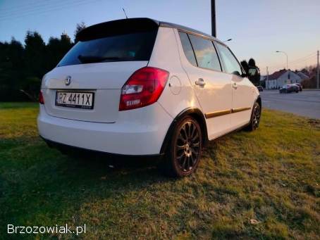 Škoda Fabia Monte Carlo TDI 2011