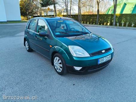 Ford Fiesta Ładny stan  2002