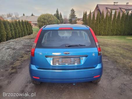 Ford Fiesta 1.  3 Benzyna 2005