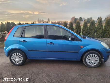 Ford Fiesta 1.  3 Benzyna 2005