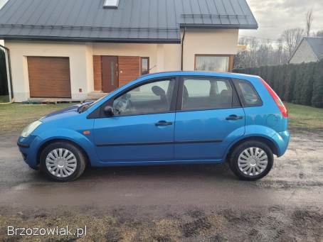 Ford Fiesta 1.  3 Benzyna 2005