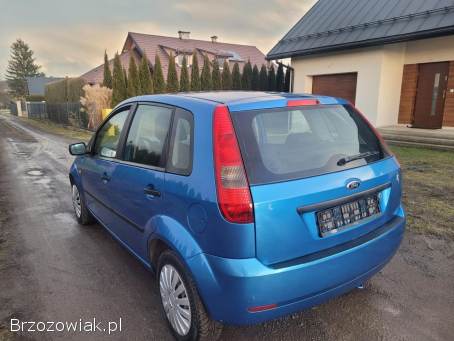 Ford Fiesta 1.  3 Benzyna 2005