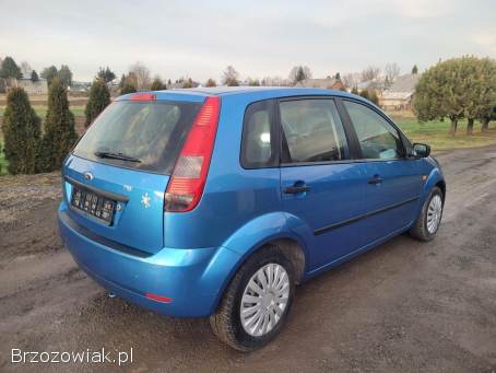 Ford Fiesta 1.  3 Benzyna 2005