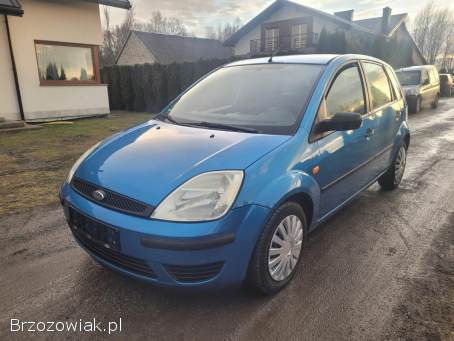 Ford Fiesta 1.  3 Benzyna 2005