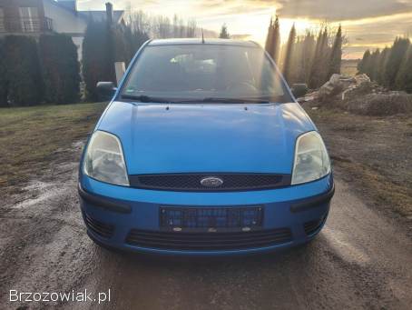 Ford Fiesta 1.  3 Benzyna 2005