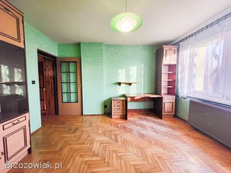 Dom ze świetnie prosperującym biznesem w Brzozowie