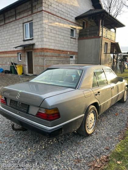 Mercedes-Benz W124 Sedan  1990