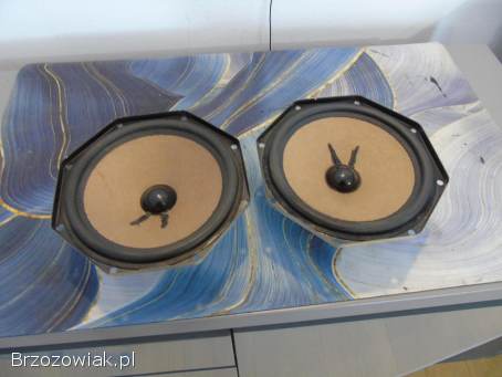 Głośniki mid-basy Philips AD-7066 W4 sprawne.  WYSYŁKA