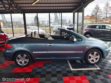 Peugeot 307 CC Cabrio 1.  6benz.   2004
