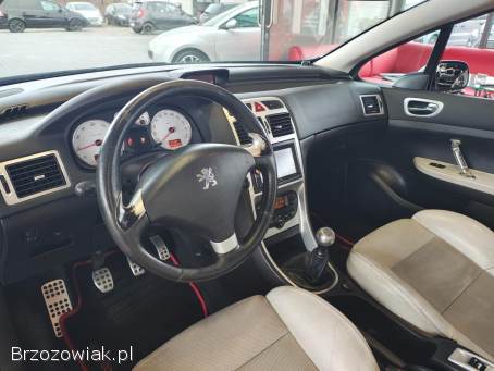Peugeot 307 CC Cabrio 1.  6benz.   2004