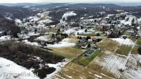 1,  08 ha Górki k.  Brzozowa -  Beskid Niski -  Inwestycyjna