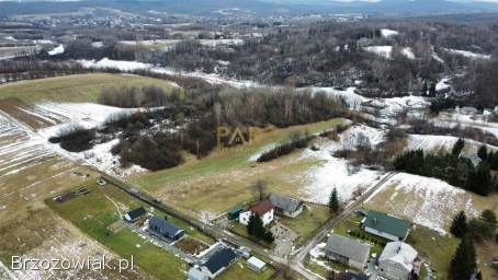 1,  08 ha Górki k.  Brzozowa -  Beskid Niski -  Inwestycyjna