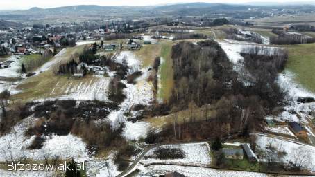 1,  08 ha Górki k.  Brzozowa -  Beskid Niski -  Inwestycyjna