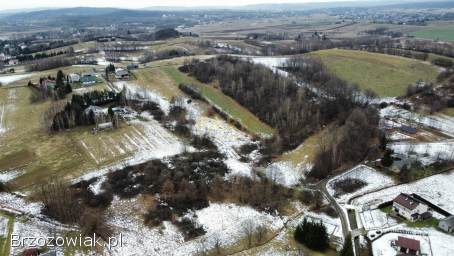 1,  08 ha Górki k.  Brzozowa -  Beskid Niski -  Inwestycyjna