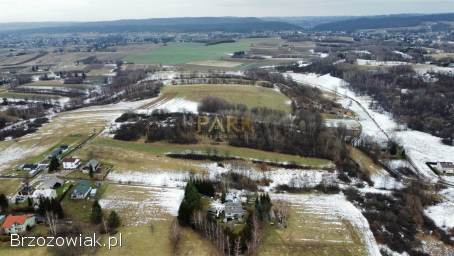 1,  08 ha Górki k.  Brzozowa -  Beskid Niski -  Inwestycyjna