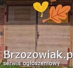 Drzwi garażowe