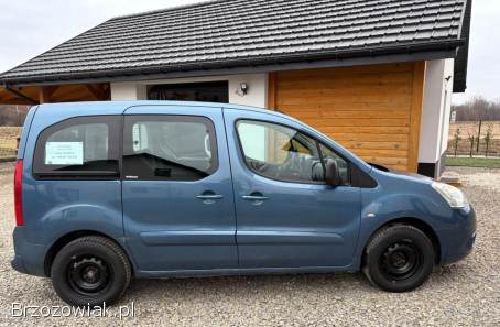 Citroën Berlingo Multispace 2009