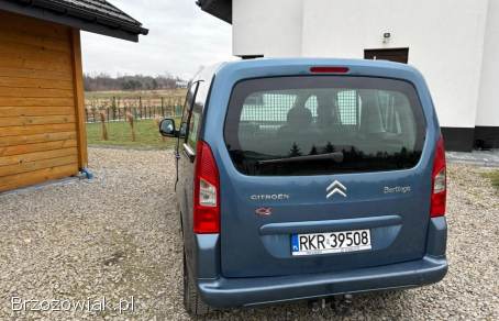 Citroën Berlingo Multispace 2009