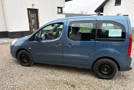 Citroën Berlingo Multispace 2009