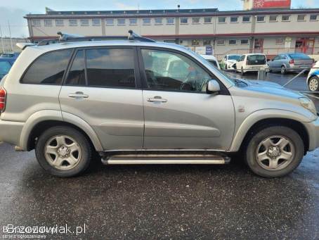 Toyota RAV4 II 2004