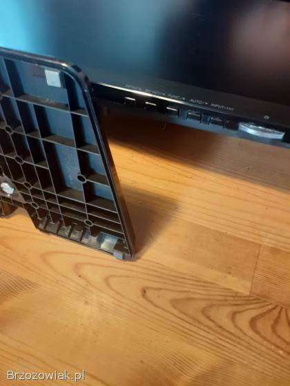 Monitor Flatron 19,  5