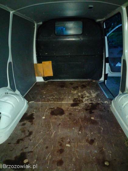 VW t5