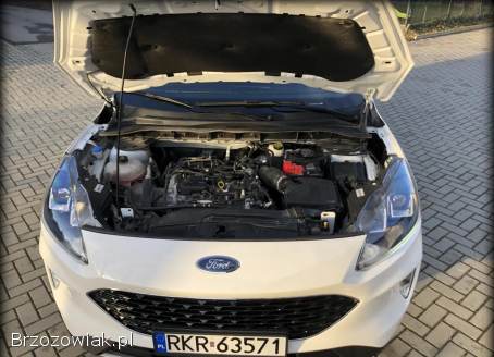 Ford Kuga 2020