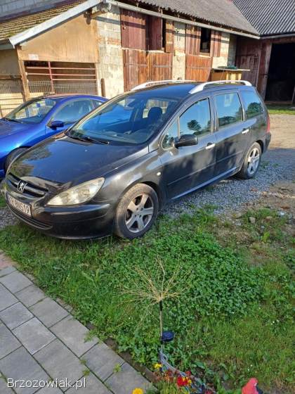 Peugeot 307 Sw 2003