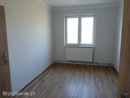 Pomieszczenia użytkowe do wynajęcia